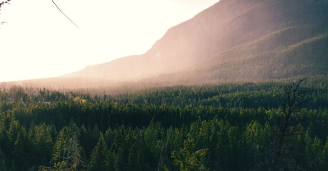 Chiropractor Shoulder Pain Relief in Minnetonka, MN